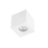Miniatura Immagine principale 1