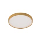 NOVALUX - Roto Evo 49W 3000K D.610 oro microprismatico Dali-Push IP40 kit plafone/parete o sospensione da ordinare a parte.