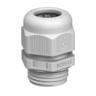 OBO BETTERMANN - V-Tec VM25 SGR Pressacavo Filettatura Metrica M25 Poliammide Grigio Argento RAL 7001. 2022849