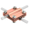 Miniatura Immagine principale 1