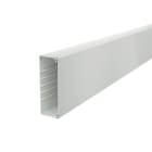 OBO BETTERMANN - Canale portacavi parete base preforata 60x170x2000 Polivinilcloruro grigio chiaro RAL 7035.