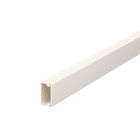 OBO BETTERMANN - Canale portacavi parete base preforata 10x20x2000 Polivinilcloruro bianco crema RAL 9001.
