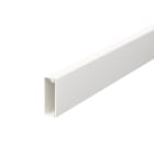 OBO BETTERMANN - Canale portacavi parete base preforata 10x30x2000 Polivinilcloruro bianco RAL 9010.