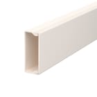 OBO BETTERMANN - Canale portacavi parete base preforata 20x50x2000 Polivinilcloruro bianco crema RAL 9001.