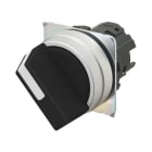 OMRON ELECTRONICS - PULSANTE- OPERATORE NON LUMINOSO.2 POSIZ