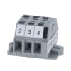 Miniatura Immagine principale 1