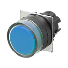 OMRON ELECTRONICS - pulsante- Protetto.momentaneo. blu opaco. g
