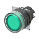 OMRON ELECTRONICS - pulsante- Protetto. luminoso.momentaneo. ve