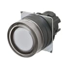 OMRON ELECTRONICS - pulsante- Protetto. luminoso.momentaneo. bi