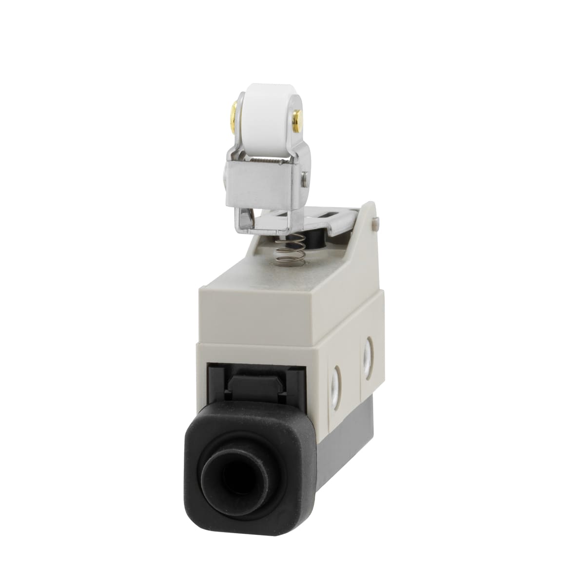 OMRON ELECTRONICS - FINECORSA- 1 CONT SC LEVACORTAROT FS300G
