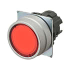 OMRON ELECTRONICS - pulsante- Piatto. luminoso.momentaneo. ross