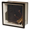 Miniatura Immagine principale 1