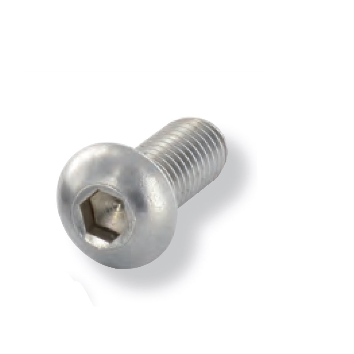 ORBIS - TBBM825 Vite brugola M8 in INOX, lunghezza 25mm, testa bombata con cava esagonale, uso con profili modello EASY CLAMP e spessore pannello 5-8mm