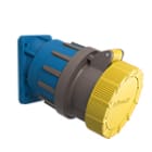 PALAZZOLI - ROTOR - ROTOSEZIONATORE 2P+T 32A 110-130V 4H IP66/67/69