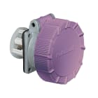 PALAZZOLI - CEE presa fissa da parete diritta 3P 16A 20-25V 50-60Hz IP67