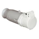 PALAZZOLI - CEE presa mobile diritta 2P 32A 40-50V 50-60Hz 12h IP44