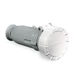 PALAZZOLI - CEE presa mobile diritta 3P 32A 40-50V 50-60Hz 12h IP67