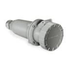 PALAZZOLI - CEE presa mobile diritta per correnti elevate a bassissima tensione 3P 125A 48V 50-60Hz 1h IP67