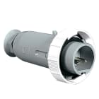 PALAZZOLI - CEE spina mobile diritta 2P 32A 40-50V 50-60Hz 12h IP67