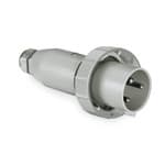 PALAZZOLI - CEE spina mobile diritta per correnti elevate a bassissima tensione 2P 63A 48V 50-60Hz 1h IP67
