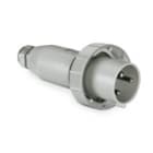 PALAZZOLI - CEE spina mobile diritta per correnti elevate a bassissima tensione 2P 63A 48V 50-60Hz 1h IP67