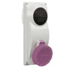 PALAZZOLI - topTER presa con trasformatore di sicurezza SELV completa di protezione termica per installazione da quadro 2P 16A 150VA 230/24V IP66/IP67