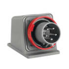 PALAZZOLI - ENERGYBOX quadro distribuzione input kit IP65 spina fissa 63A 3P+N+T