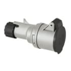 PALAZZOLI - MULTIMAX presa mobile diritta 3P+T 16A 480-500V 50-60Hz 7h IP44
