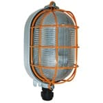 PALAZZOLI - PLAFONIERA ATEX OVALE IN LEGA DI ALLUMINIO 18W IP65 3D