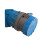 PALAZZOLI - Rotor rsez fix 20 2p+t 63a 230v 6h.