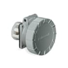 PALAZZOLI - CEE presa fissa diretta 3P+T 125A 48V 1H IP67.