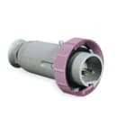 PALAZZOLI - CEE standard mobile 3 poli 32A 24/42V 4 ore IP67.