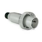 PALAZZOLI - Cavo mobile CEE 2P+T 63A 48V 1H IP67 binario.