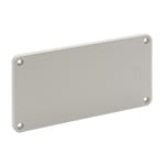 PALAZZOLI - Prima flangia cieca IP55 per protezione elettrica affidabile.