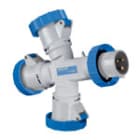 PALAZZOLI - Moltipresa 3U 2P+T 16A 230V 6H IP67.