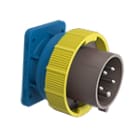 PALAZZOLI - X-CEE SP FIX DIR 2P+T 16A 110V 4H.