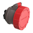 PALAZZOLI - X-CEE FR presa 3P+N+T 125A 440-460V 11H.