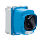 PALAZZOLI - CAM interruttore da parete in contenitore alluminio 6P 63A sch 3.1 2F1 IP66/IP67
