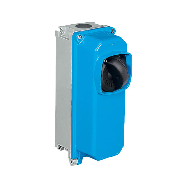 PALAZZOLI - SERIE CAM INTERRUTTORE DA PARETE IN CONTENITORE TERMOINDURENTE CAM-TI INT-FUS PAR 4X25A HD IP66/67