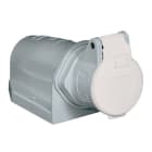 PALAZZOLI - CEE presa fissa da parete 90Â° 2P 16A 20-25/40-50V CC CC 10h IP44