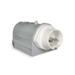 PALAZZOLI - CEE spina fissa da parete angolata 3P 16A 20-25/40-50V 100-200Hz 4h IP44