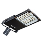 PALAZZOLI - SERIE TIGUA PROIETTORE CON TESTAPALO 24LED 170W OTTICA STRADALE IP66