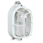 PALAZZOLI - RINO plafoniera ovale in alluminio 60W 1 portalampada E27 pressacavo M20 gabbia cast IP66