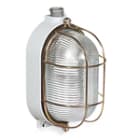 PALAZZOLI - RINO plafoniera ovale in alluminio 60W 1 portalampada E27 pressacavo 2x M20 gabbia IP66