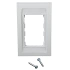 PANDUIT - LA STRUTTURA DELLA PLACCA AD ACCOPPIAMEN