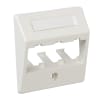 Miniatura Immagine principale 1