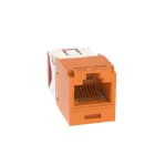 PANDUIT - MODULO UNIVERSALE CATEGORIA 5, 8 POSIZIO CJ5E88TGOR-24