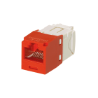 PANDUIT - THE MINI-COM CAT 6 UTP RJ45 TG JACK MODU