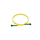 PANDUIT - THIS 12 FIBER CABLE ASSEMBLY IS AN OS2 I