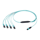 PANDUIT - OM4 8-FIBER, HARNESS CABLE ASSEMBLY, PLE